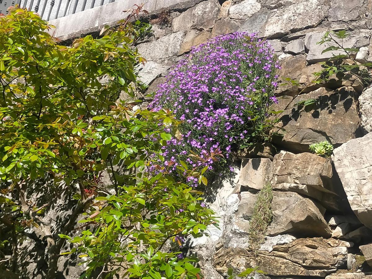 הוילה Faedis Torre Del Grifone Nel Medioevo Di Cividale Del Friuli מראה חיצוני תמונה