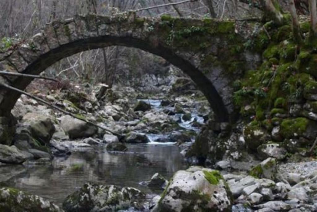 הוילה Faedis Torre Del Grifone Nel Medioevo Di Cividale Del Friuli מראה חיצוני תמונה
